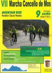 cartel marcha 2013b.jpg