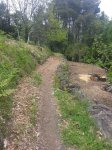 sendero1.jpg