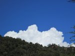 IMG_1917.JPG
