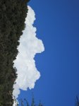 IMG_1917.JPG