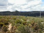 2013-05-19 12.17.35_800x600.jpg