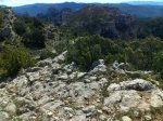 IMG-20130519-WA023.jpg