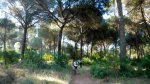 DSCN9672.jpg