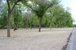 IMG_9165.jpg