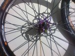 Foto0516.jpg
