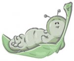 oruga.jpg