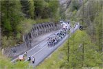 giro13st15af-02bunch.jpg