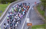 giro13st15af-03bunch.jpg