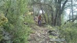 IMG-20130520-WA015.jpg