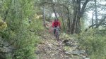 IMG-20130520-WA017.jpg