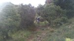 IMG-20130520-WA024.jpg