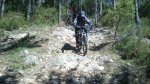 IMG-20130520-WA039.jpg