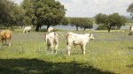 DSC05376.JPG