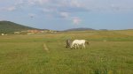 DSC_1485.JPG
