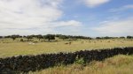 DSC05451.JPG