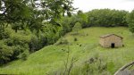 DSC05496.JPG
