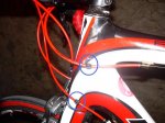 DSCN9203.JPG