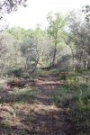 IMG_9199.jpg