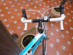 p1000381w.jpg