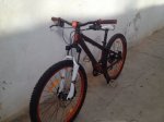image11.jpeg