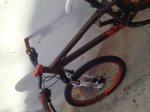 image12.jpeg