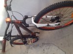 image13.jpeg