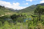 IMG_1704.JPG