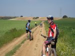 DSC00790_redimensionar.JPG
