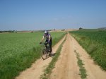DSC00792_redimensionar.JPG