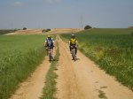 DSC00795_redimensionar.JPG