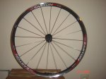 DSC01674.JPG