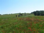 PICT0005 (Small).JPG