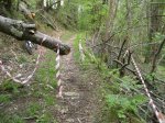 IMG_3405.JPG