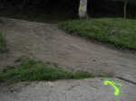 IMG_3407.JPG