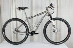 Paragon-29er-with-Pinion-belt.jpg