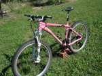 DSC04397_990x742.jpg