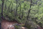 IMG_9184.jpg