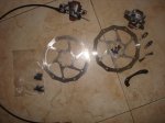 DSC01559.JPG