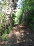 2013-05-22 19.45.36.jpg