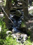 IMGP0069.JPG