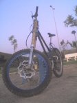 mibikexD.jpg
