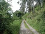 PICT0013 (Copiar).JPG