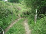 PICT0100 (Copiar).JPG