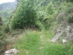PICT0108 (Copiar).JPG