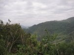 PICT0109 (Copiar).JPG
