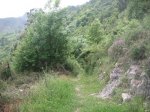 PICT0112 (Copiar).JPG