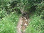 PICT0128 (Copiar).JPG