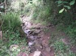 PICT0134 (Copiar).JPG
