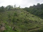 PICT0135 (Copiar).JPG