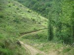 PICT0136 (Copiar).JPG